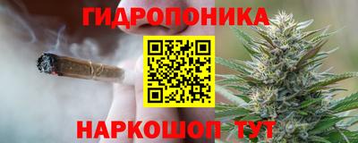 прущие грибы Бугуруслан