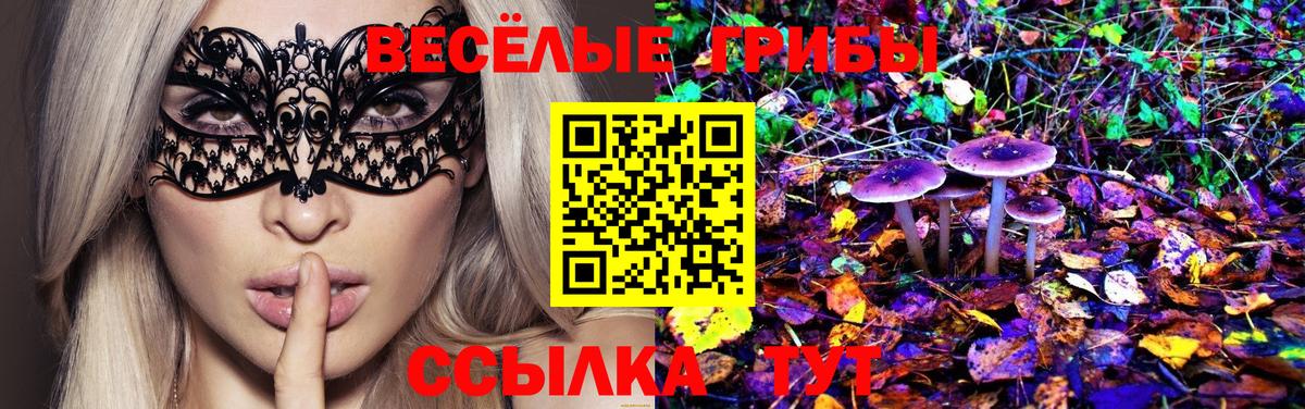 Псилоцибиновые грибы мухоморы Людиново